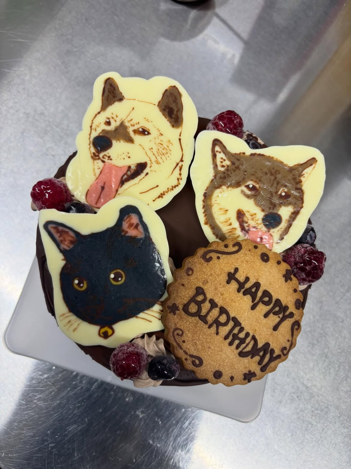 愛犬ケーキ